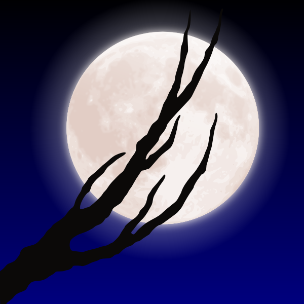 Moon and branches